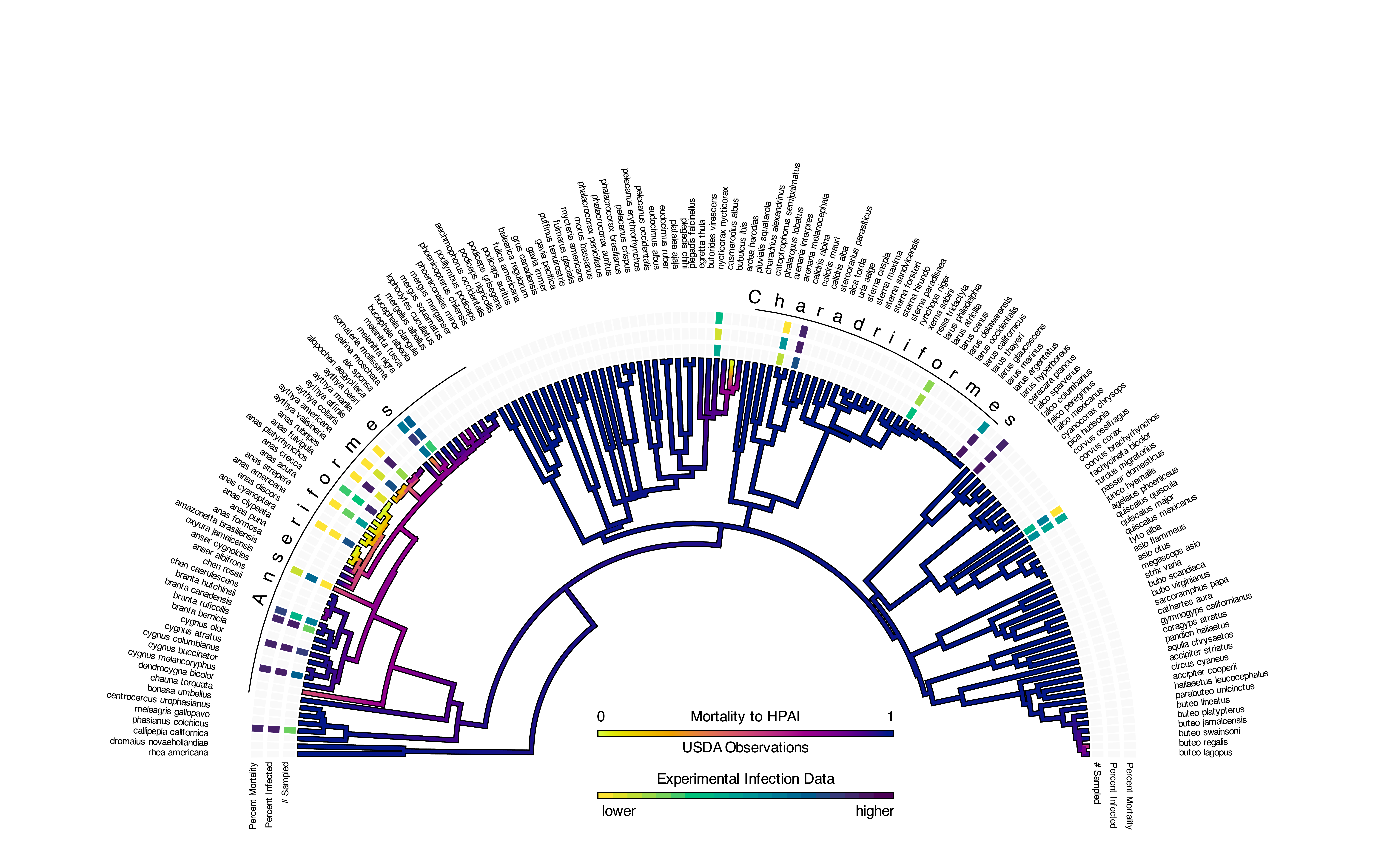 The new plot that incorporates both the USDA observational data and the Gonnerman paper experimental infection data